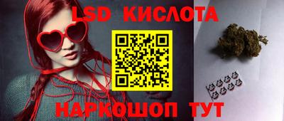 СК Краснодар