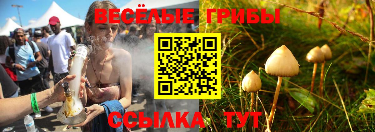Донецк  Галлюциногенные грибы ЛСД  цена   Галлюциногенные грибы Cubensis  Вход с VPN 